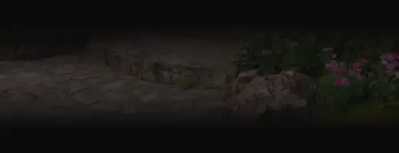 Landscape hardscape design